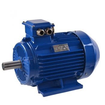 Electric motor three phase 2/4/6/8 pole General Purpose B3 (feet) AC motor